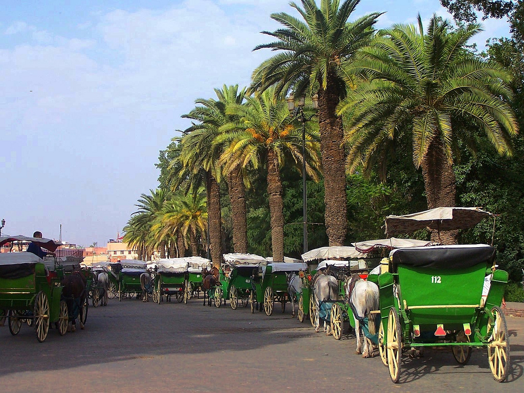 Se dplacer  Marrakech
